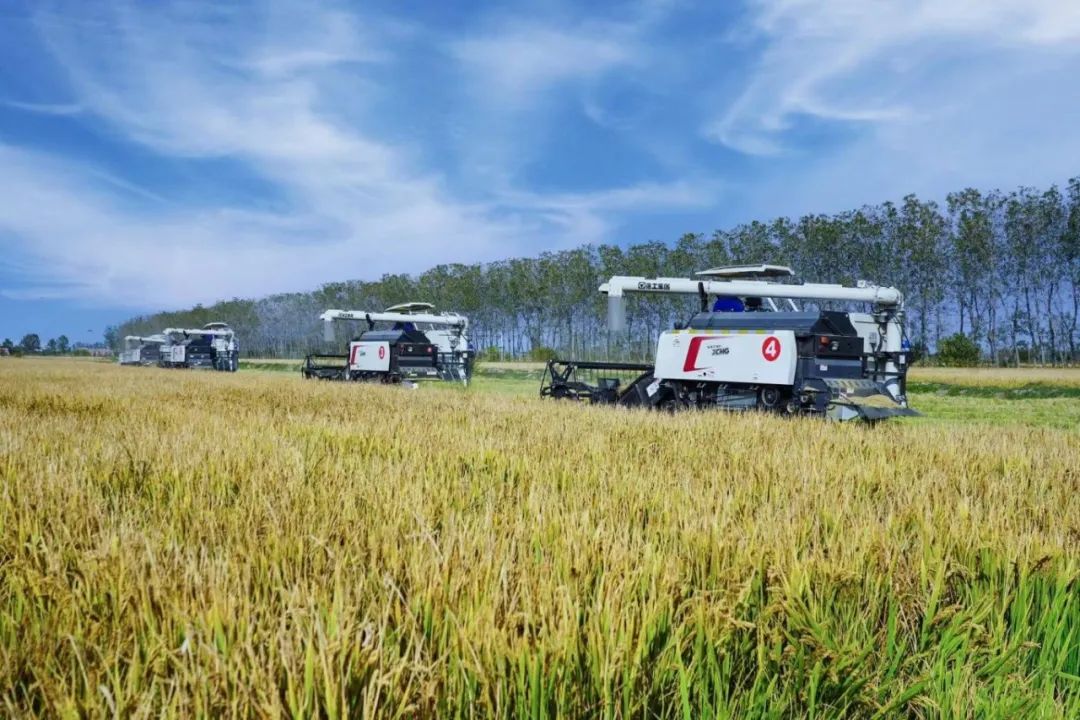 利来w66官网(中国区)_利来集团